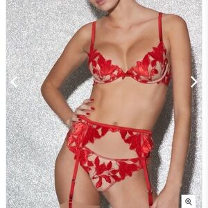 Fleur du Mal Lily Embroidery Plunge Demi Lace Bra. Worm once.